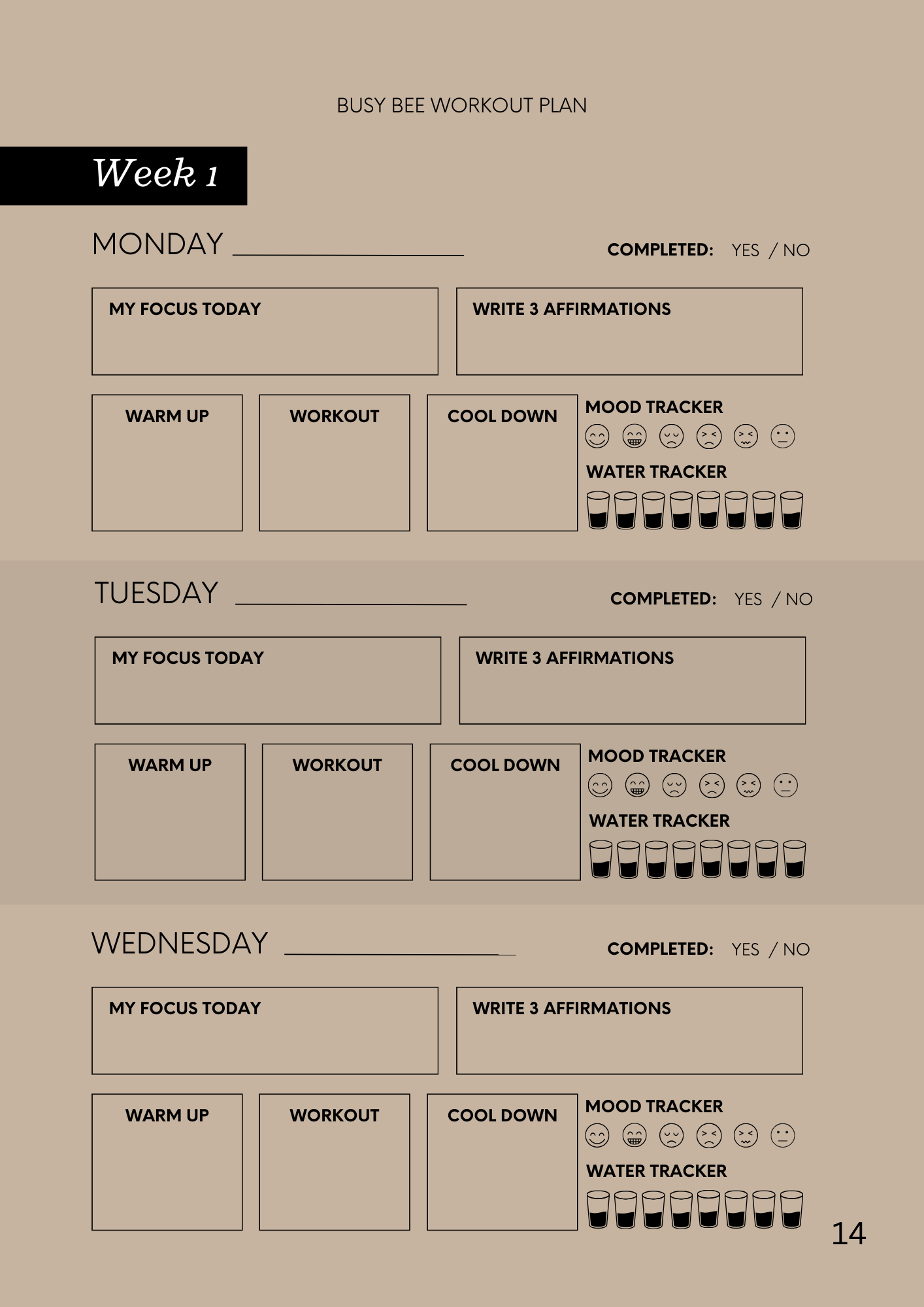 Busy Bee Workout Plan